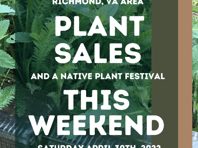 Saturday, April 30th 2022 Plant&nbsp;Activities